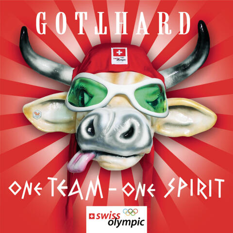 One Team One Spirit