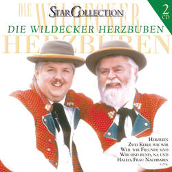 Am Berg, wo die Tannen stehn