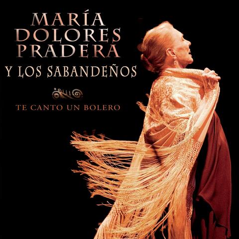Te Canto Un Bolero