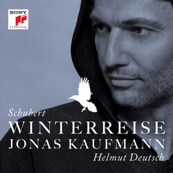 Winterreise, D911: Im Dorfe