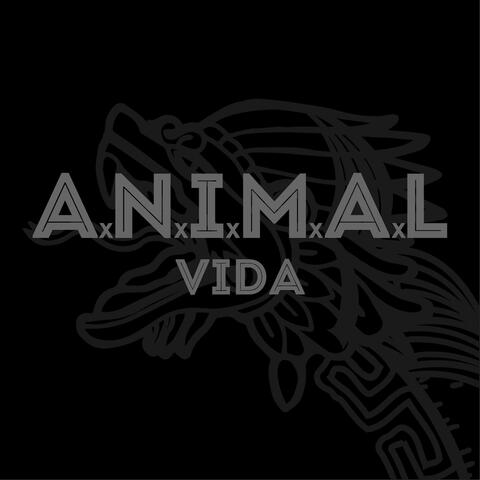 Vida