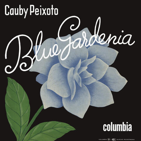 Blue Gardênia