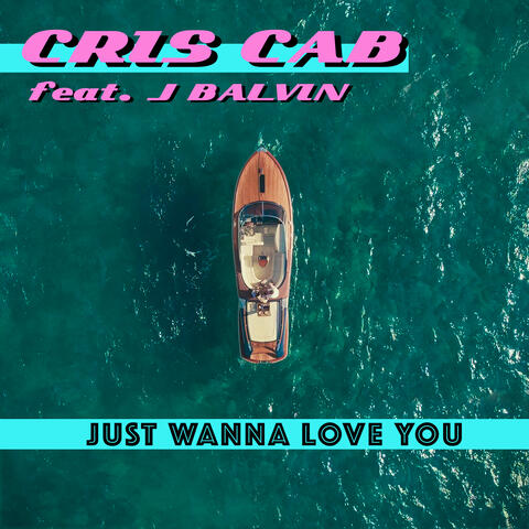 Just Wanna Love You