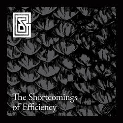 The Shortcomings of Efficiency