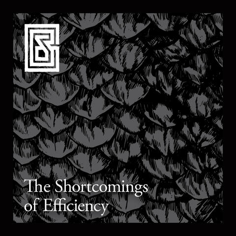 The Shortcomings of Efficiency