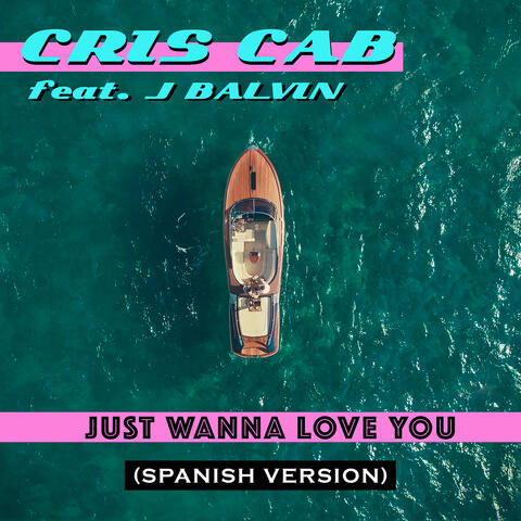 Just Wanna Love You
