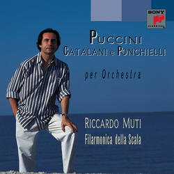 Contemplazione