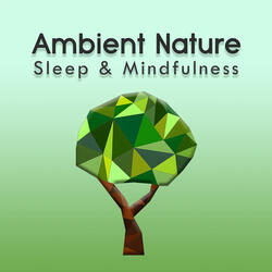 Ambient Nature Sleep Sounds, Pt. 58