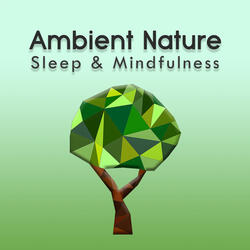 Ambient Nature Sleep Sounds, Pt. 12