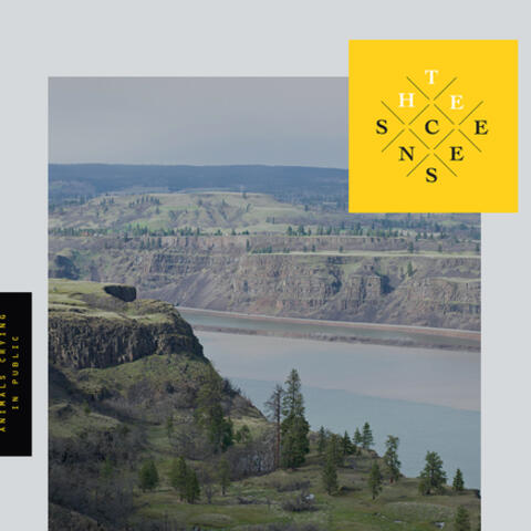 Images of Animals Crying in Public