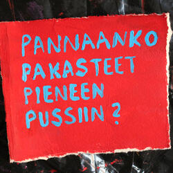 Aino ja Ali (pannaanko pakasteet pieneen pussiin?)