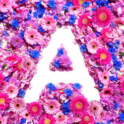 Aalto