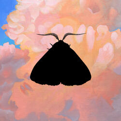 Moth to the Flame