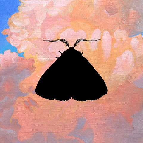 Moth to the Flame