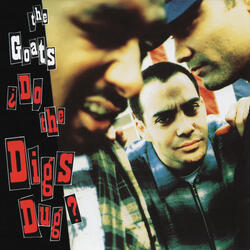 ¿Do the Digs Dug?