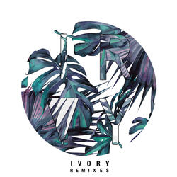 Ivory (Yarosslav Remix)