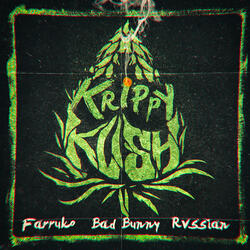 Krippy Kush