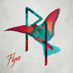 Flyve