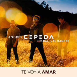 Te Voy a Amar