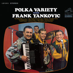Bar Room Polka