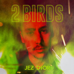 2 Birds