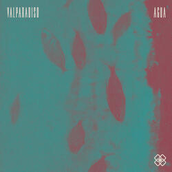 Agua (Remix KBNT Snapduck & Idoipe)