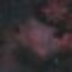 A Brief Moment (Brief Remix)