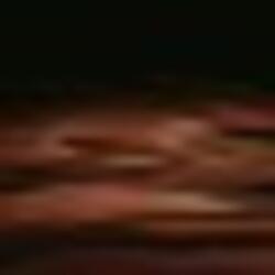 WILLOW PARK i dig you