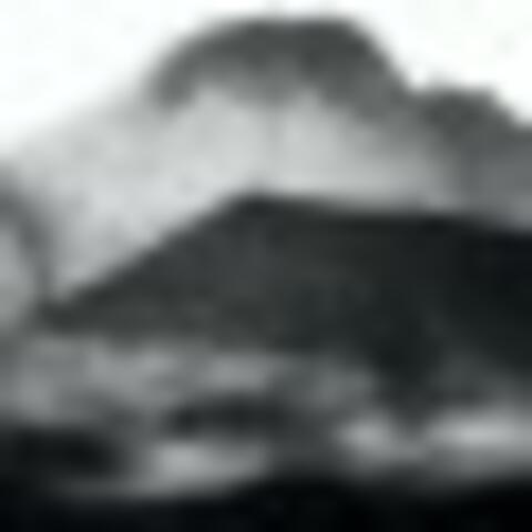 Adding Montage Scene