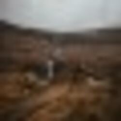 MARCH OF THE DUBHEADZ