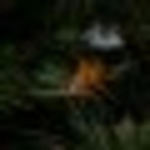 Paul hurst 092009