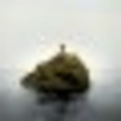 HABITUAL TRANSGRESSIONS
