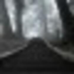 A better summer for you and me