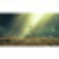 Korok Forest/Master Sword Theme
