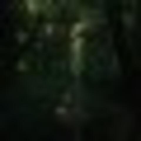 A Pit of light w Tony West