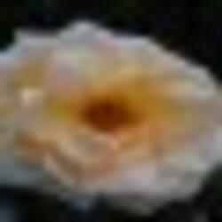 Macrocosm (thumpradio_dnb)