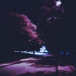 night walks
