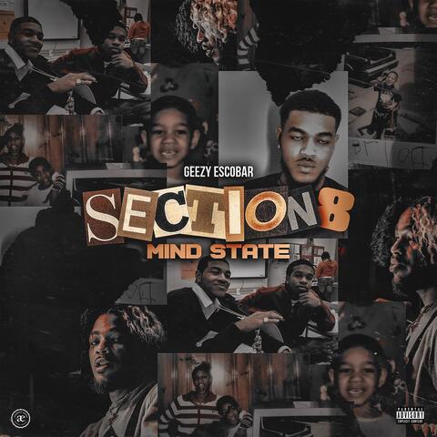 Section 8 Mind State