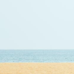 Can't Stop Your Lovin'