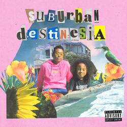 Destinesia