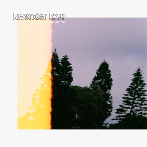 Lavender Love