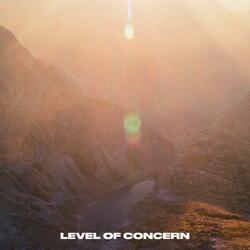 Level of Concern (Cover)