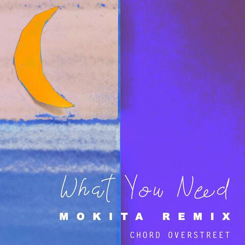 What You Need (Mokita Remix)
