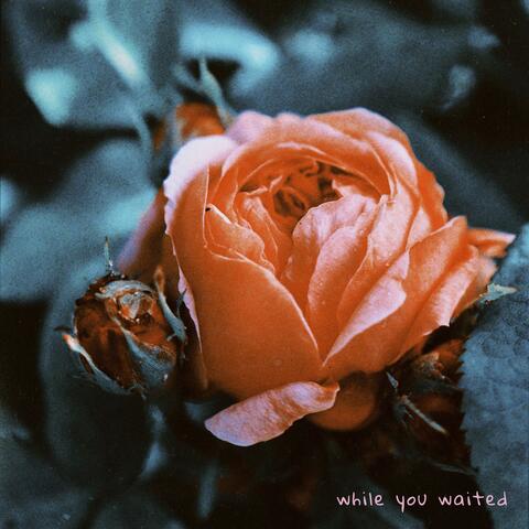 While You Waited