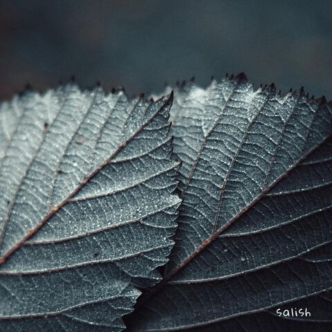 Salish