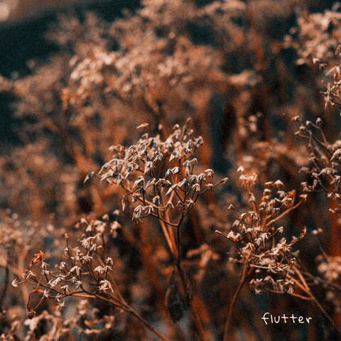 Flutter