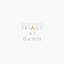 Triage At Dawn