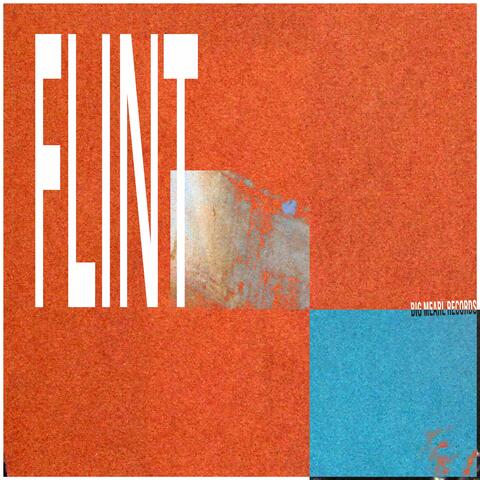Flint, MI