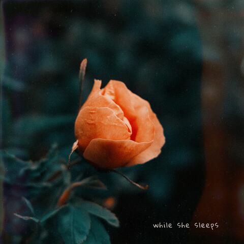 While She Sleeps