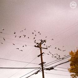 Endless